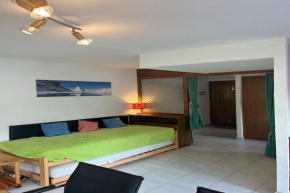 Spacious apartment with balcony